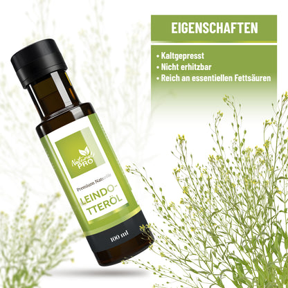 Nussige Weihnachtsküche „Nut Edition“ Bundle