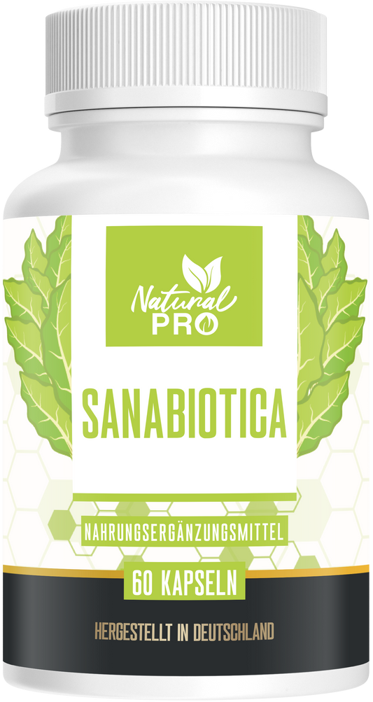 Sanabiotica | Natürliches Antibiotikum aus der Natur | 60 Kapseln