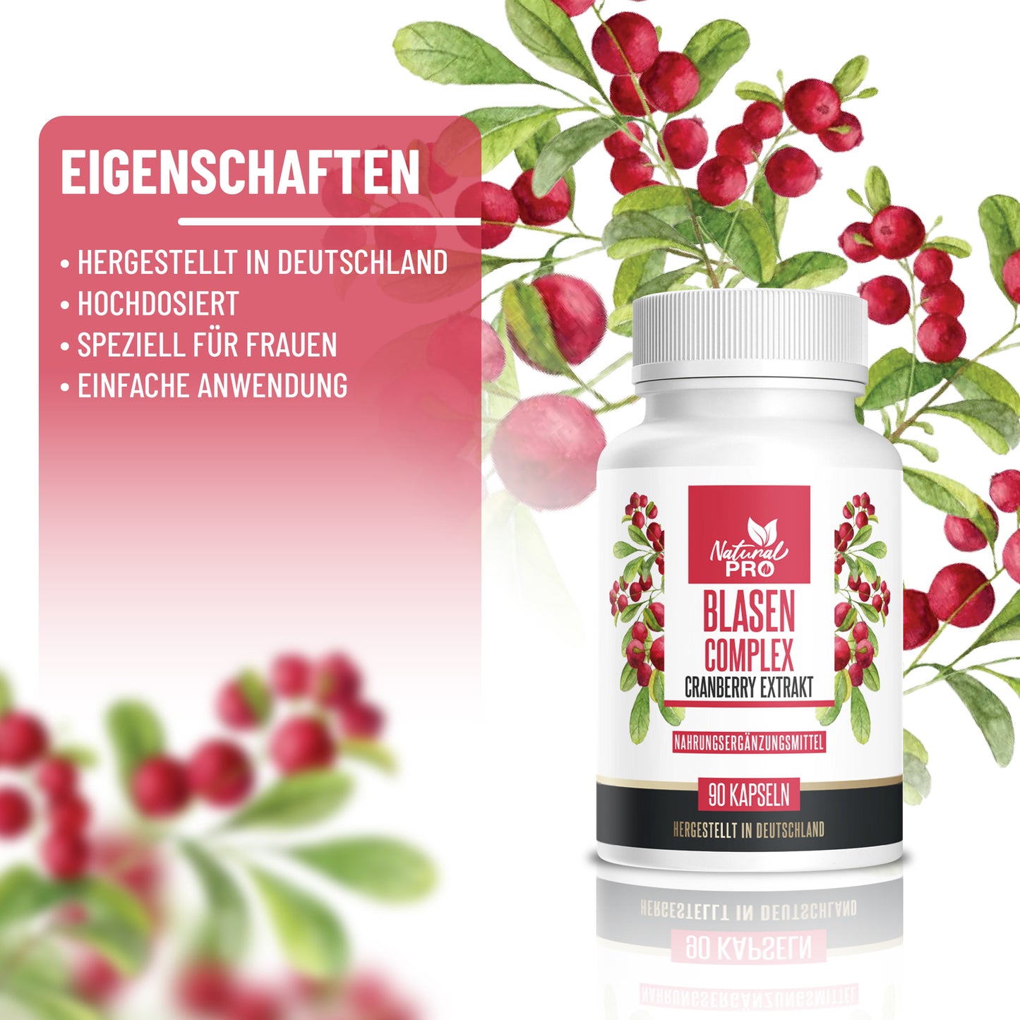 Blasen Complex | Mit hochdosierten Cranberry Extrakt | Für Blasen- & Harnwegsgesundheit | 60 Kapseln