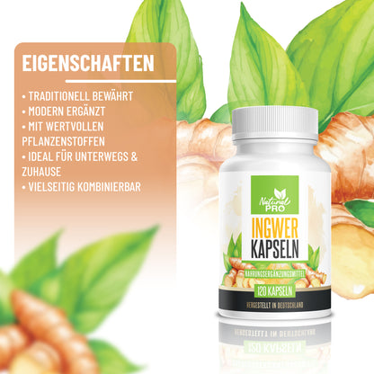Ingwer Kapseln hochdosiert | 1.000mg Tagesdosis | Für Immunsystem & Verdauung | 120 Kapseln