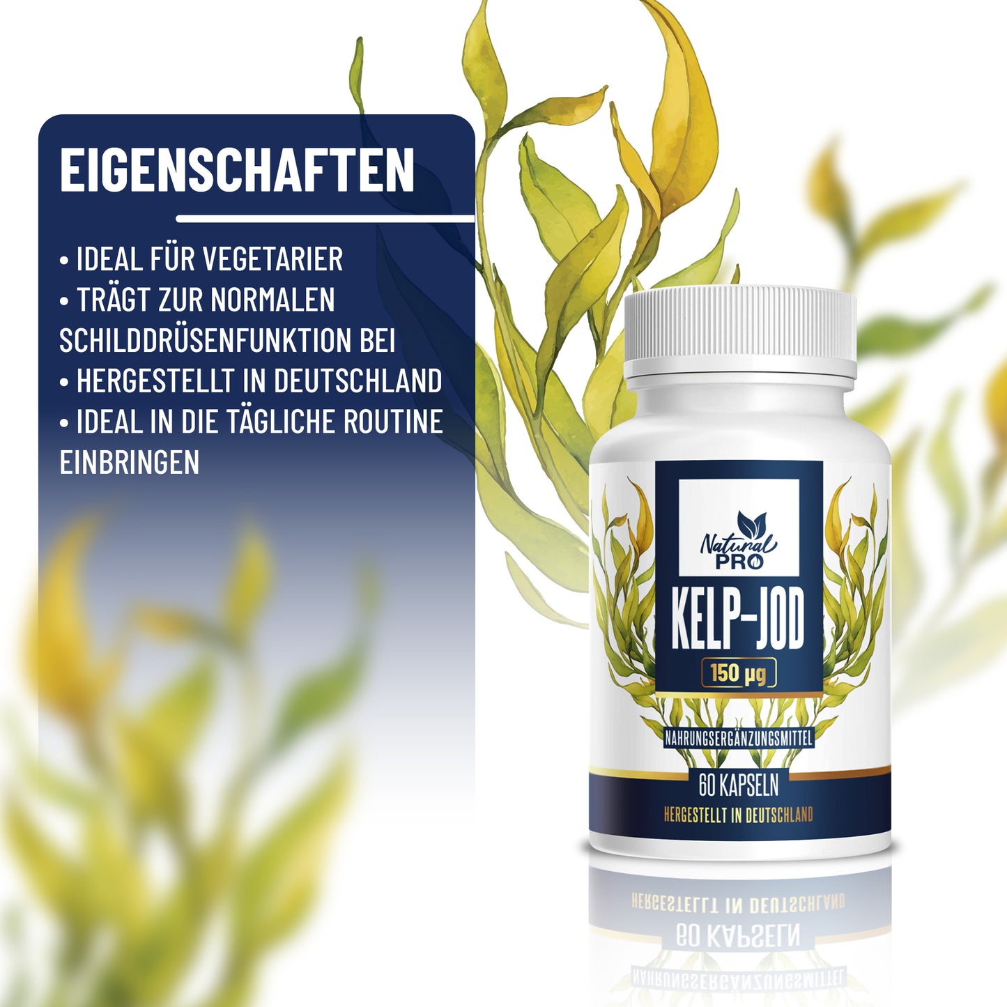 Kelp-Jod 150 µg hochdosiert | Für Vitalität & Hormonbalance | 60 Tabletten