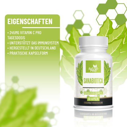 Sanabiotica | Natürliches Antibiotikum aus der Natur | 60 Kapseln