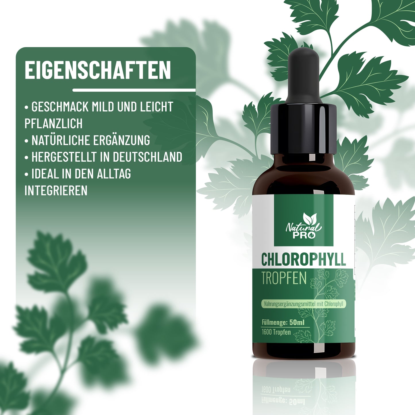 Chlorophyll Tropfen | Hochdosiert & Naturrein | Tägliches Wohlbefinden
