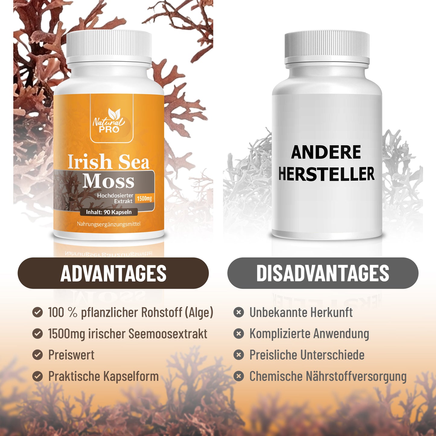 Natural Pro | Irish Sea Moss | 1500mg | Dein Körper im Alltag |