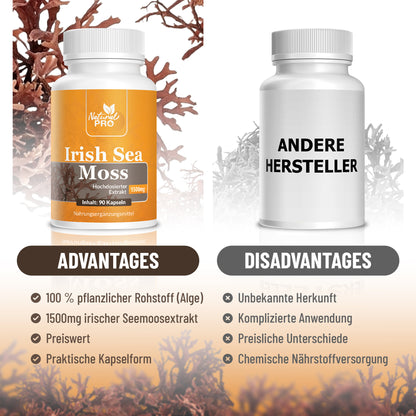 Natural Pro | Irish Sea Moss | 1500mg | Dein Körper im Alltag |