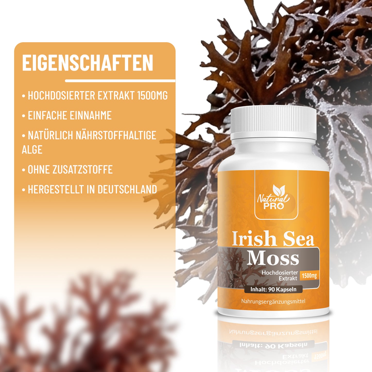 Natural Pro | Irish Sea Moss | 1500mg | Dein Körper im Alltag |
