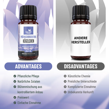 Prüfungsvorbereitung Kügelchen | Für Ruhe & Fokus in stressigen Lernphasen | 10 g