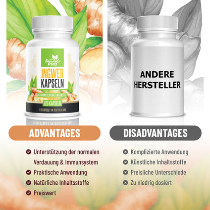 Ingwer Kapseln hochdosiert | 1.000mg Tagesdosis | Für Immunsystem & Verdauung | 120 Kapseln