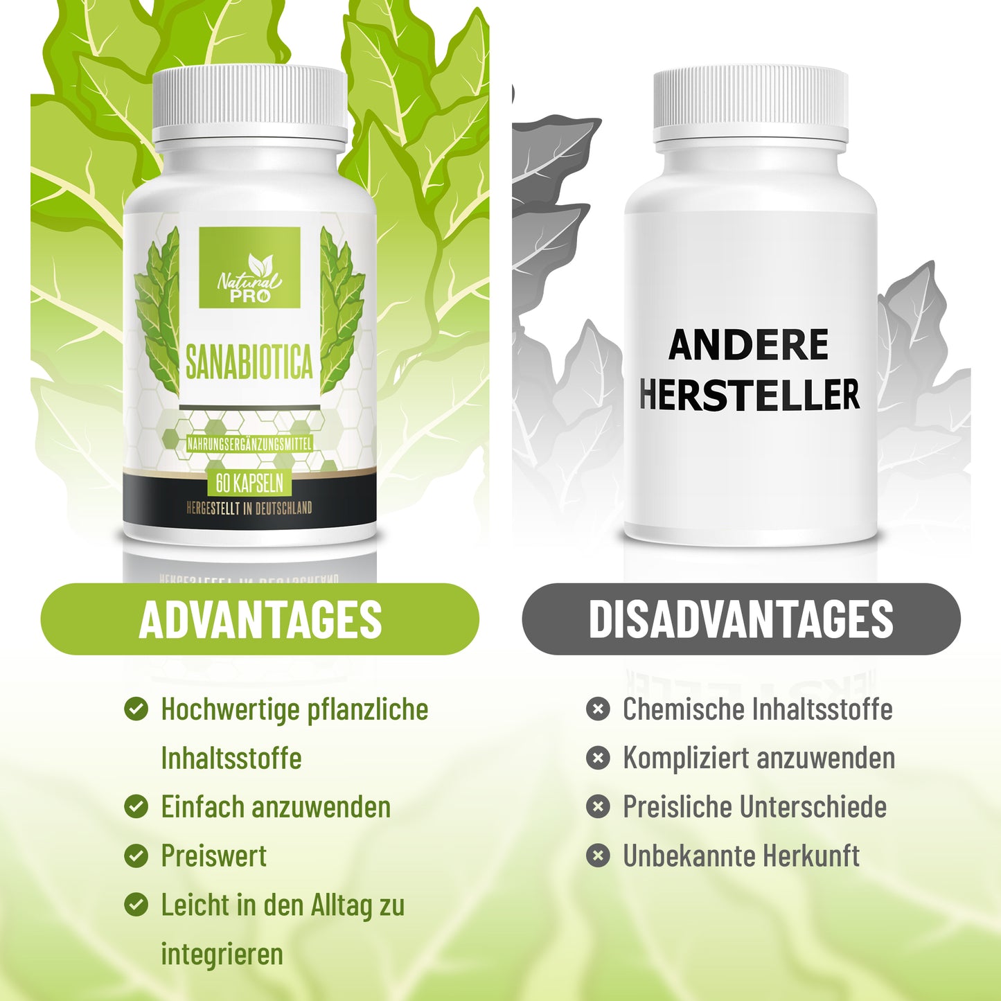 Sanabiotica | Natürliches Antibiotikum aus der Natur | 60 Kapseln