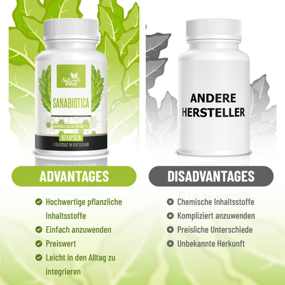 Sanabiotica | Natürliches Antibiotikum aus der Natur | 60 Kapseln