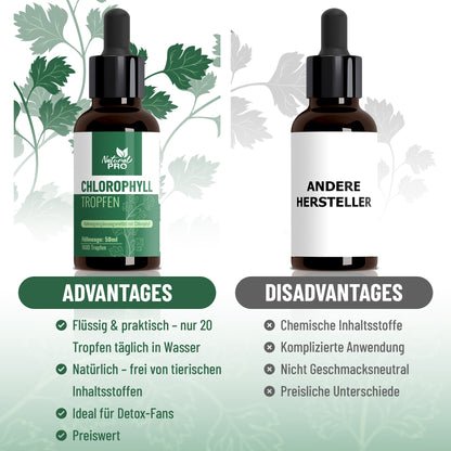 Chlorophyll Tropfen | Hochdosiert & Naturrein | Tägliches Wohlbefinden