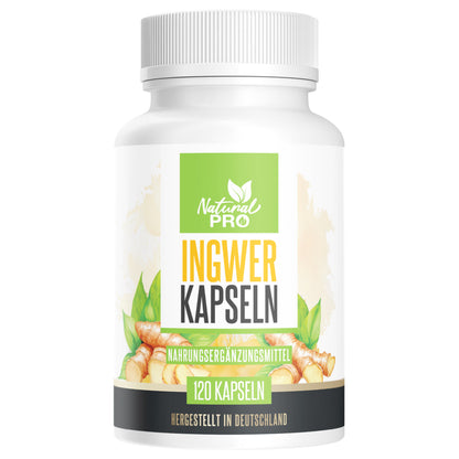 Ingwer Kapseln hochdosiert | 1.000mg Tagesdosis | Für Immunsystem & Verdauung | 120 Kapseln