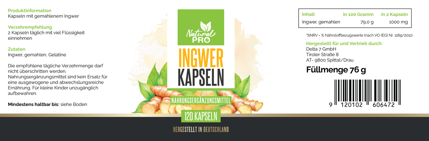 Ingwer Kapseln hochdosiert | 1.000mg Tagesdosis | Für Immunsystem & Verdauung | 120 Kapseln