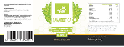 Sanabiotica | Natürliches Antibiotikum aus der Natur | 60 Kapseln